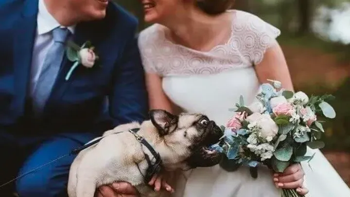 Caprichos do casamento: 37 destaques inesperados do casamento!