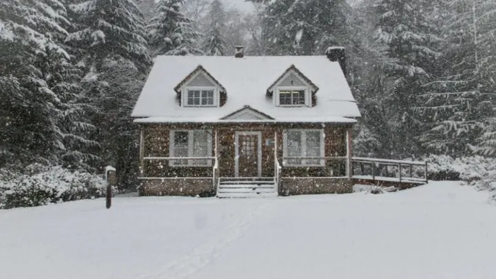 9 tips to prevent frost damage to your home and garden