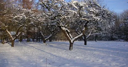 In deze provincie kunnen we deze week als eerst van de sneeuw genieten