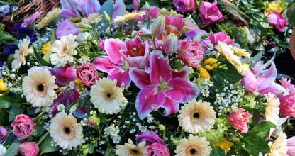 THIS is what your favourite flower says about your personality!