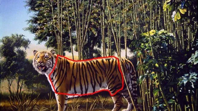 Kan jij de 'hidden tiger' op deze afbeelding vinden?