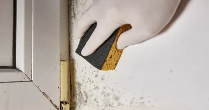 Moet je azijn gebruiken tegen schimmel? Experts uit verschillende landen zijn het oneens
