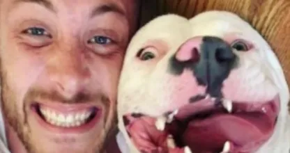 Una foto de un perro adoptado feliz era toda la evidencia que necesitaba la policía