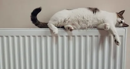 Bakje water op de verwarming tegen droge lucht? Dat kun je beter niet doen