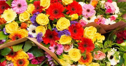 Heb je een fiets en hou je van bloemen en planten? Dan is dit echt iets voor jou!