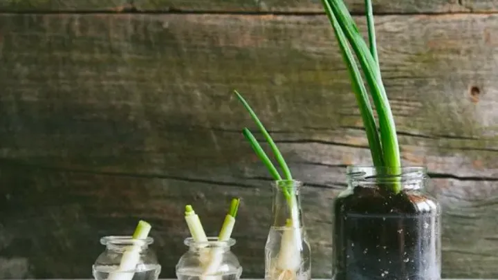 Unlock the Magic: 41 Kitchen Saving Hacks Everyone Must Know!