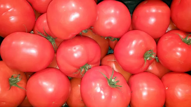 Kann man Tomaten eigentlich einfrieren? So geht es am besten!