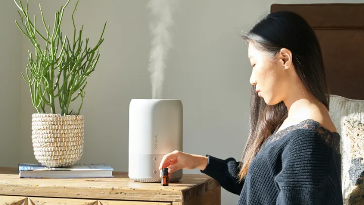 Avez-vous vraiment besoin d'un humidificateur dans votre maison ?