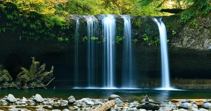 Descubra: é por isso que os sons da natureza são tão relaxantes
