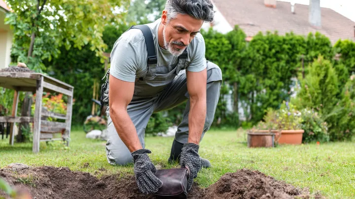 The Mound In His Backyard Was Growing Bigger – Then He Decided to Dig It Up…