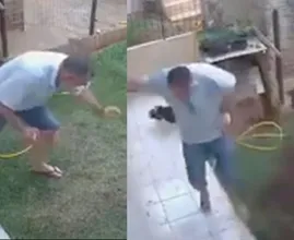 Oops: Homem explode completamente o jardim depois que ele tenta se livrar de uma barata