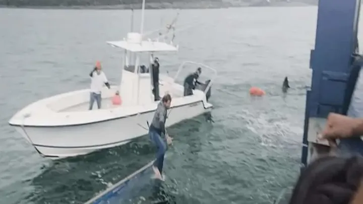 Αυτοί οι εργάτες βρήκαν ένα γιγάντιο φίδι - Δεν θα πιστέψετε τι βρήκαν μέσα!
