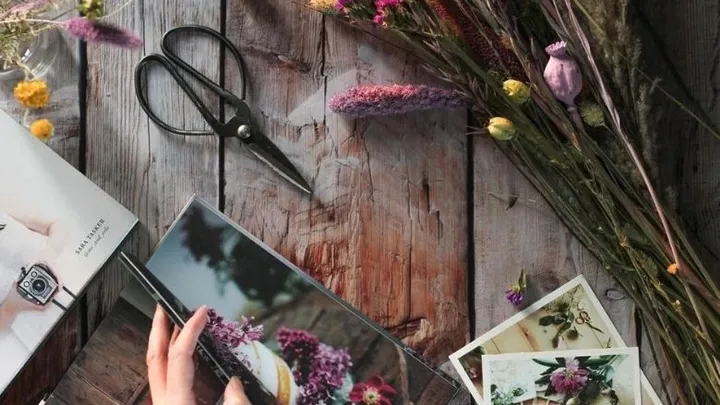 Van deze 14 bloemensoorten kan je zelf droogbloemen maken