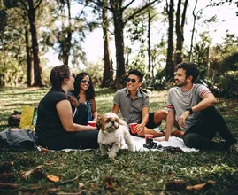 Horeca roept op tot massale picknick dit weekend