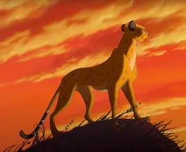 Aha: dit zingen ze dus in The Lion King's Circle of Life