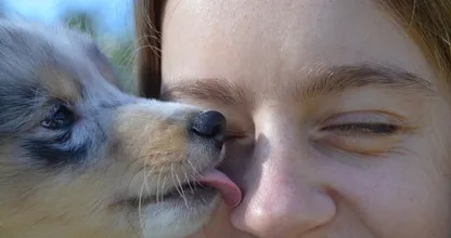 Dit gebeurt er met je lichaam wanneer je hond je gezicht likt