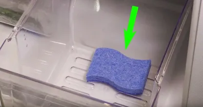 Una esponja en el refrigerador absorbe la humedad