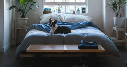 9 dingen die je nooit onder het bed moet bewaren