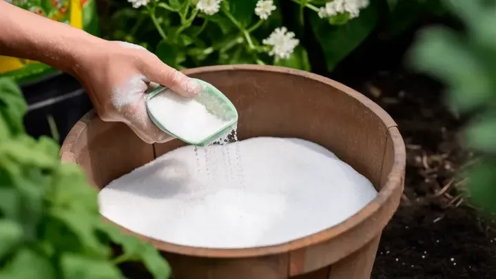 Einfache Frühlings-Hacks für den Garten Ihrer Träume. Praktisch umsonst!