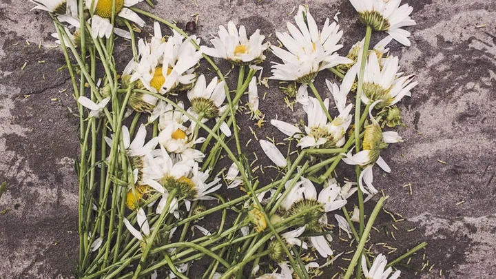 Woman removes paint from a painting and discovers her husband’s 50-year-old secret