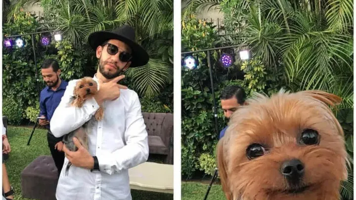 Les (fausses) interprétations les plus hilarantes des demandes de retouche photo