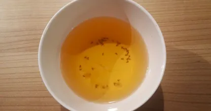 Got fruit flies in your home? With this simple natural solution you'll get rid of them in no time!