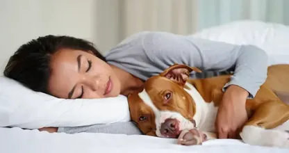Woman Thought She Could Sleep Safely With Her Pet Dog Every Night, Until The Vet Showed Her The Startling Truth