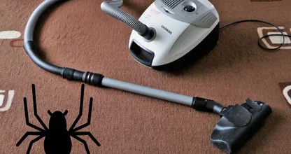Kan een spin overleven in de stofzuigerzak?