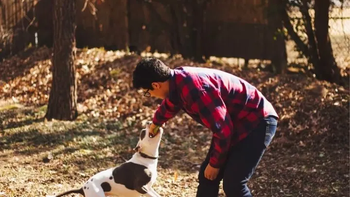 Hombre encuentra un pitbull atado a un árbol y lee la carta que está al lado