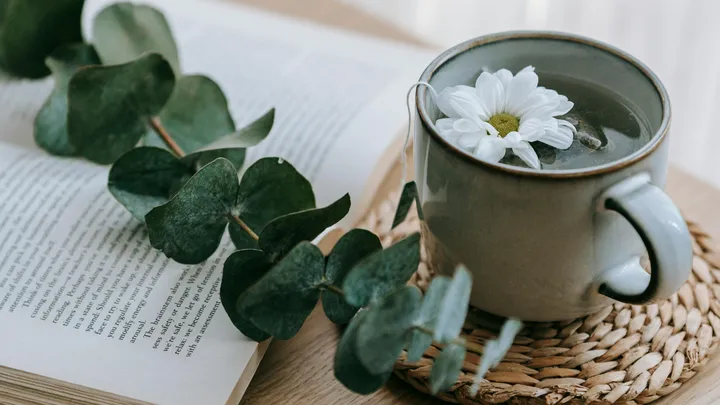How to: je eigen theetuin maken met kruiden