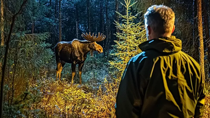 Zijn hond rende plotseling het bos in - wat hij vervolgens aantrof deed zijn bloed koud stromen!