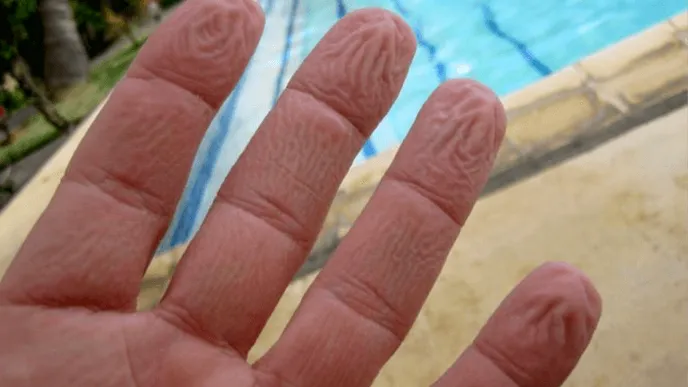 Waarom rimpelen je vingers eigenlijk in het water? Wij hebben het antwoord! Dit verwacht je niet!