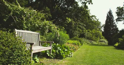Met deze trucjes blijft je tuin in leven terwijl jij op vakantie bent
