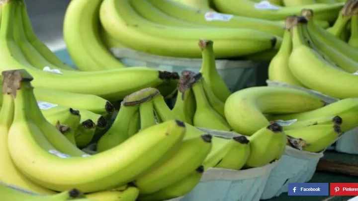 Mit diesem Trick werden unreife Bananen innerhalb von einer Stunde reif.