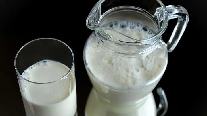 Deshalb solltest du Milch nur an dieser Stelle im Kühlschrank aufbewahren