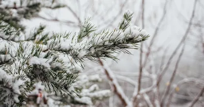 Winter op komst: eerste landelijke strooiactie en lagere temperaturen