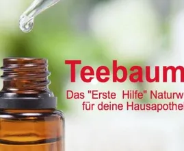 Hast du schon einmal von Teebaumöl gehört? Kein Wunder das es so geschätzt wird
