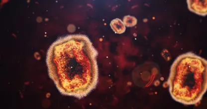 Apenpokkenvirus krijgt een nieuwe naam, heet voortaan mpox