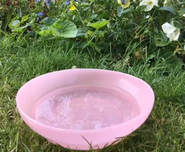 Bitte stelle auch du eine Schüssel mit Wasser in deinen Garten