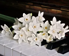 Warning: Police say you should NEVER put an address on a funeral card
