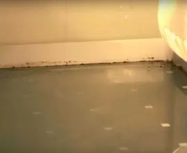 Vergisst du diese 10 Orte? Hier bildet sich Schimmel ohne das du es merkst.