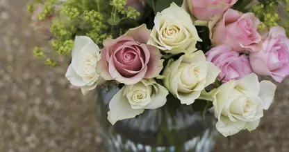 Dít is waarom je eens frisdrank bij je bloemen moet doen, het effect is fantastisch!