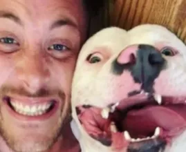 Een foto van een blije geadopteerde hond was al het bewijs dat de politie nodig had