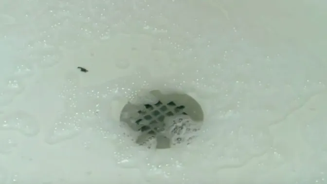 Das Wasser in der Dusche fließt nicht ab? Keine Sorge, dieses Mittel befreit den verstopften Abfluss sofort!