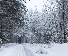 81-year-old survives week in snowbank eating candy & croissants
