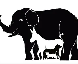 Wie viele Tiere entdeckst du? Kaum jemand kommt auf die richtige Anzahl.