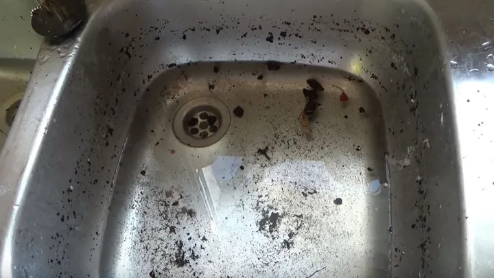 Abfluss verstopft? Mit diesen 2 Zutaten wird der sofort wieder frei!