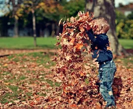 Garden clean-up: this is how to get rid of all of the autumn leaves in one go