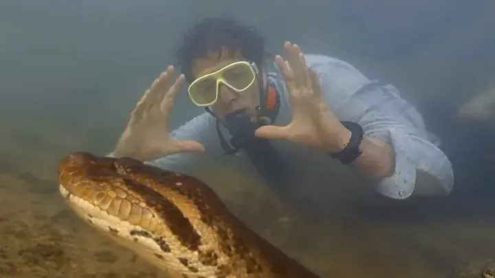 This Man Found A Giant Snake - He Couldn't Understand What Was Inside This Snake!