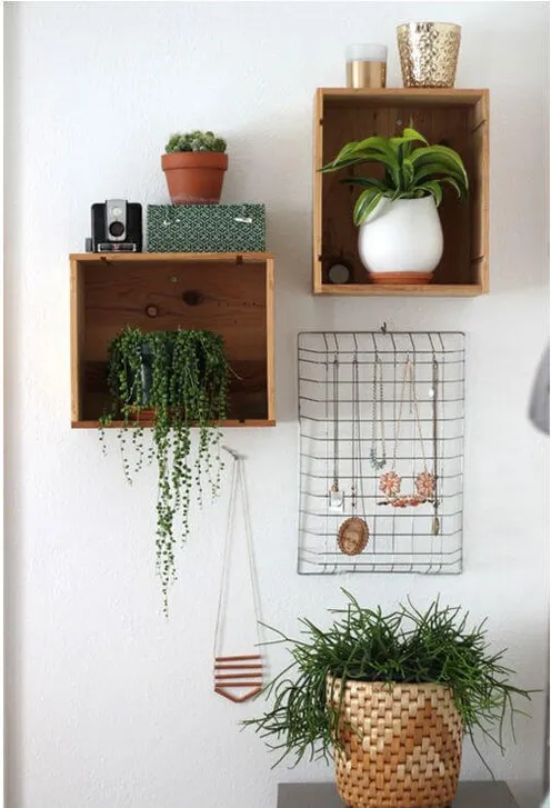 Een lade aan de muur voor planten